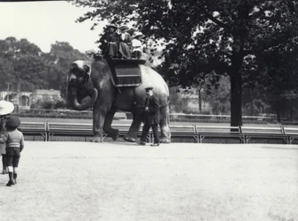 Een Aziatische olifant bereden door twee dames en een jong meisje, met een verzorger aan haar zijde, London Zoo, mei 1914